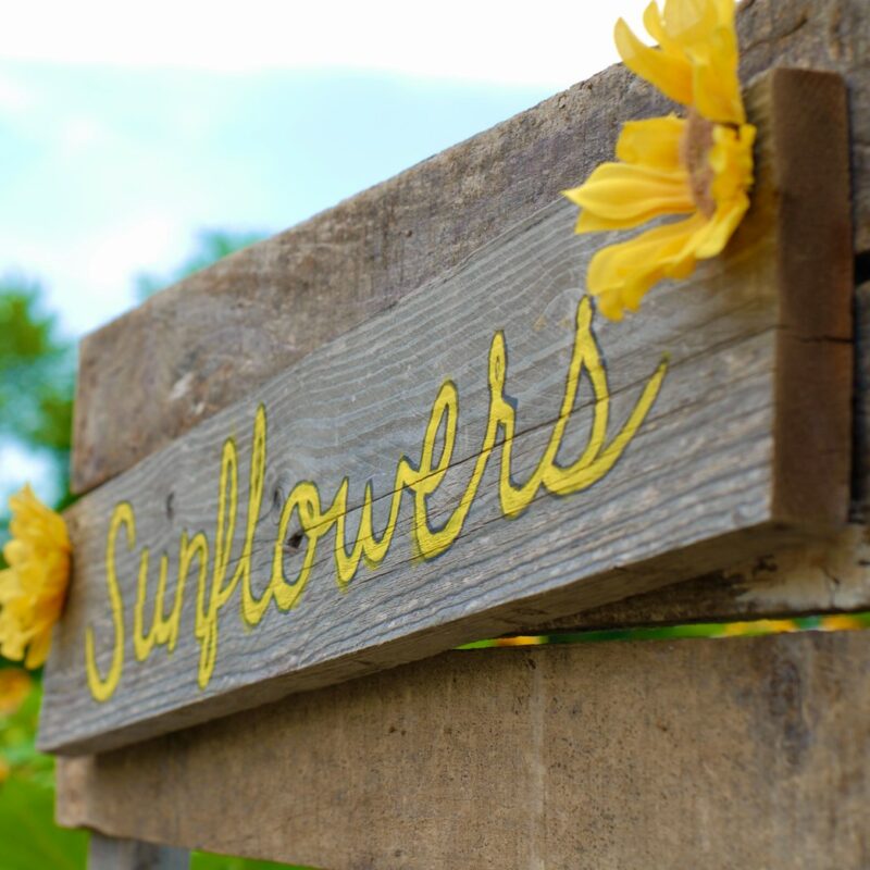 Imagen referencial de letrero de madera personalizado